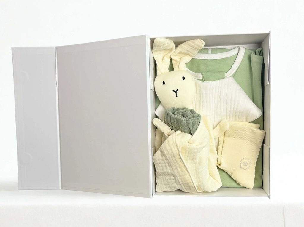 Dreamy Green Baby Kit- Premium Abrilbyclaudia